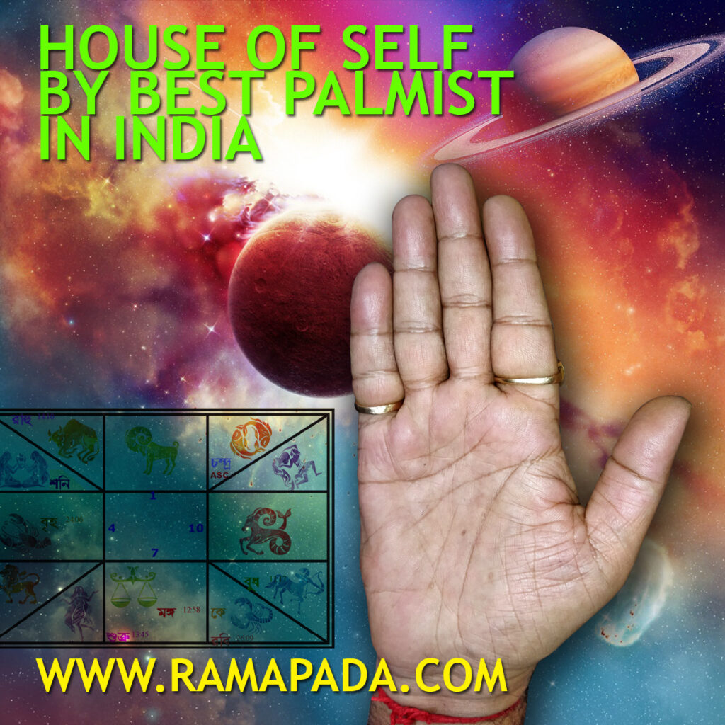 House of Self by best palmist in India
